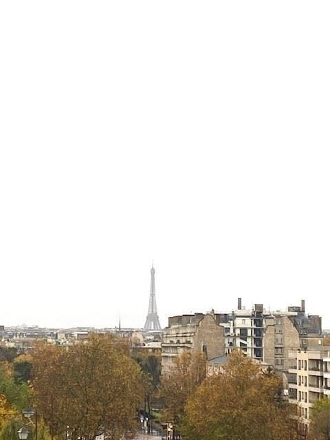 appartement 6 pièces en location sur NEUILLY SUR SEINE (92200)